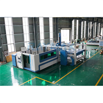 뜨거운 판매 1000W ~ 6000W 중국 Raycus 싱글 침대 오픈 플랫 베드 금속 CNC 섬유 금속 시트 레이저 절단기